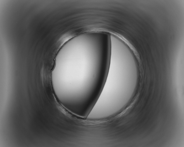 X0000085321289200703091107