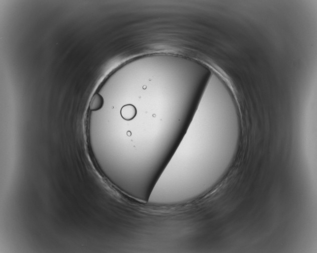 X0000085321291200703091107