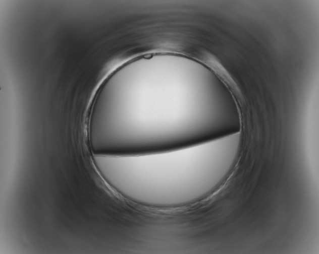 X0000085321292200703091107