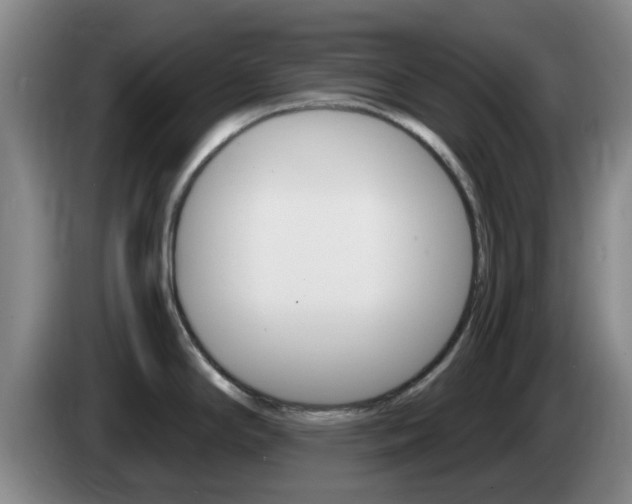X0000085321294200703091107