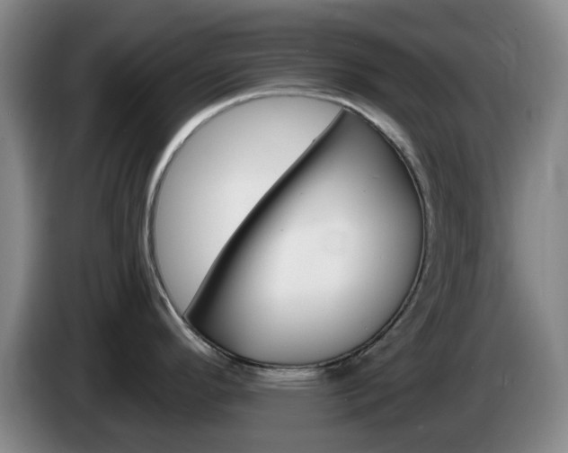 X0000085321296200703091107
