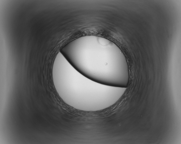 X0000085321297200703091106