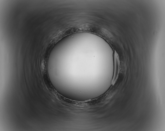 X0000085321298200703091106