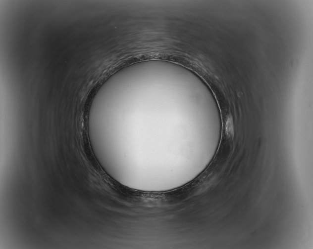 X0000085321299200703091106
