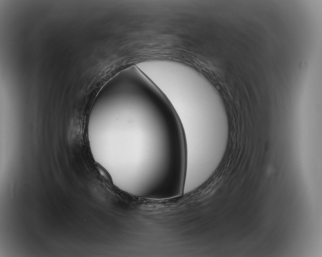 X0000085321300200703091106