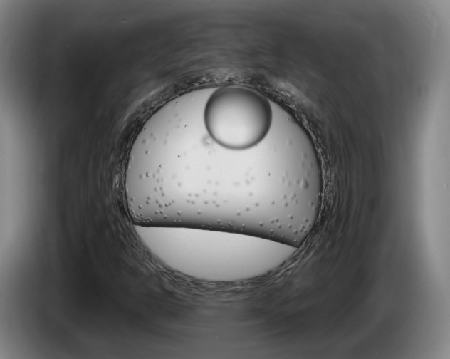 X0000085321302200703091106