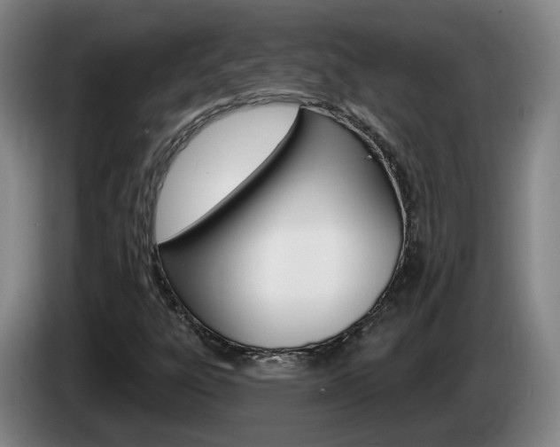 X0000085321303200703091106