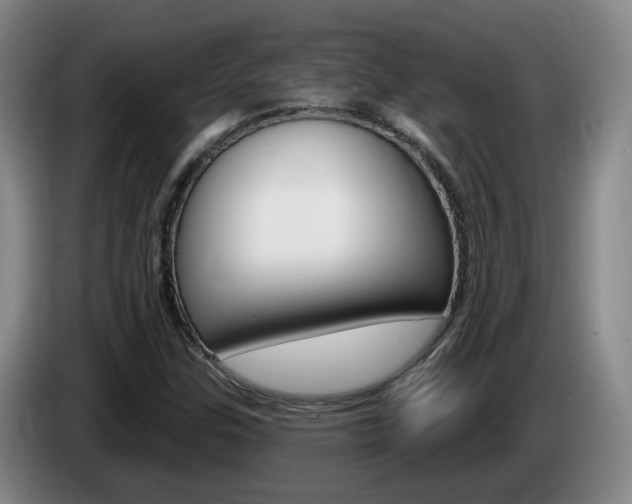 X0000085321307200703091106