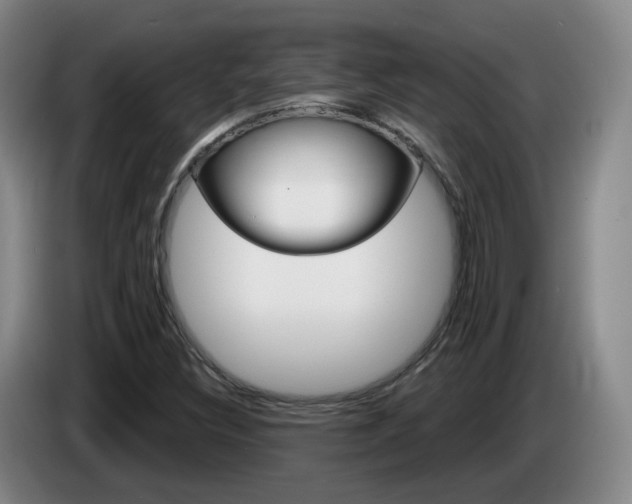 X0000085321308200703091106