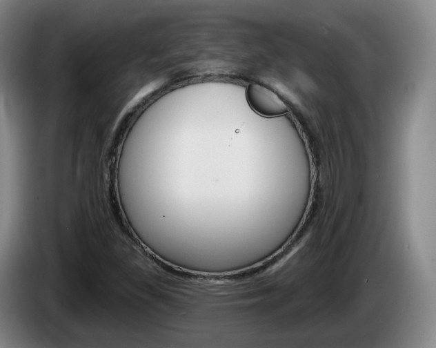 X0000085321309200703091106