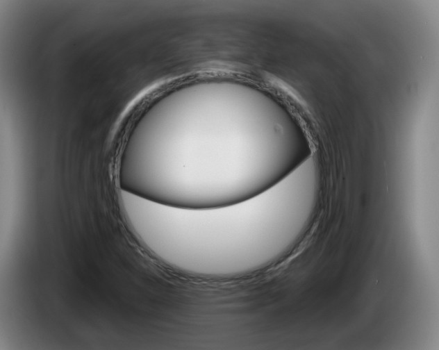 X0000085321310200703091106