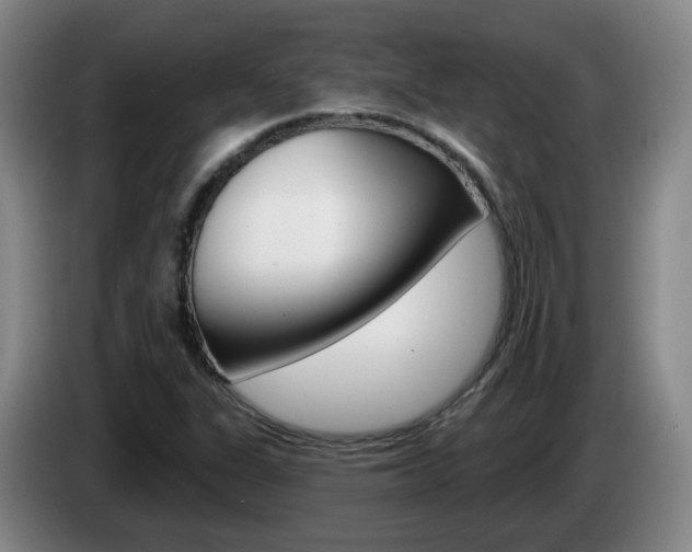 X0000085321311200703091107