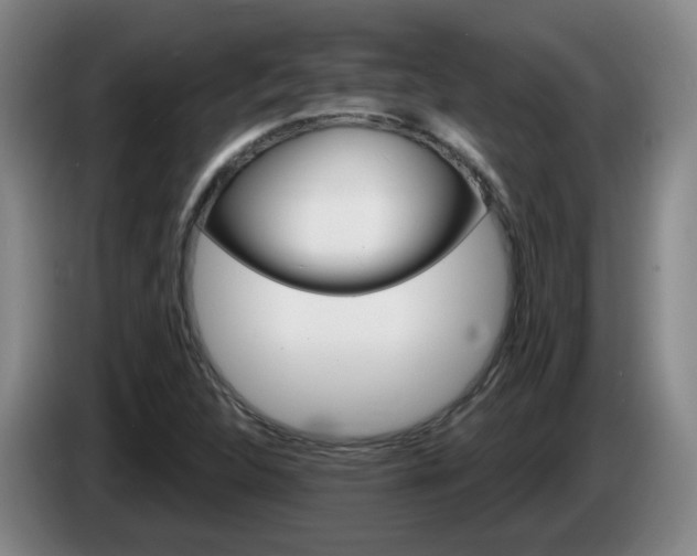 X0000085321312200703091107