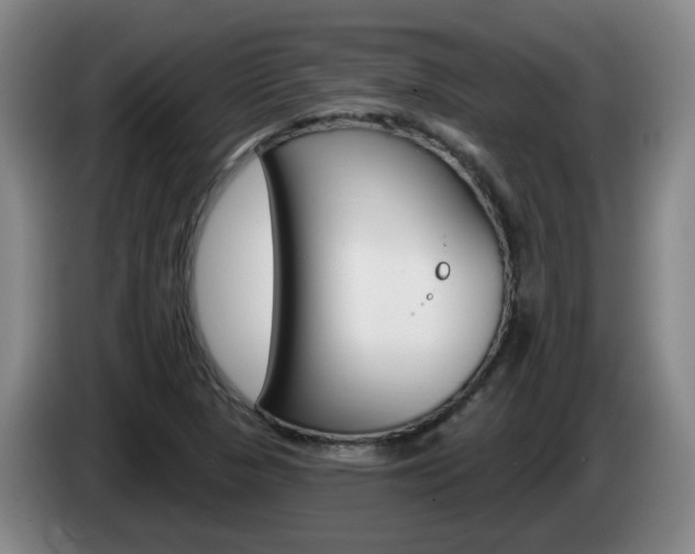 X0000085321313200703091107