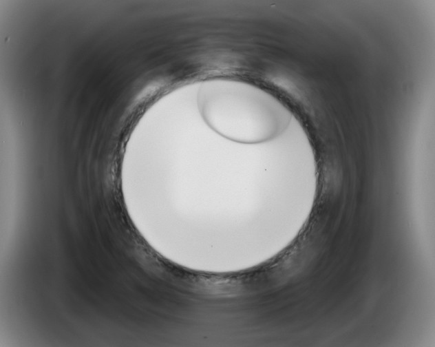 X0000085321314200703091107