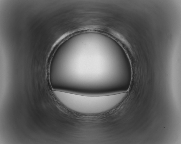X0000085321316200703091107