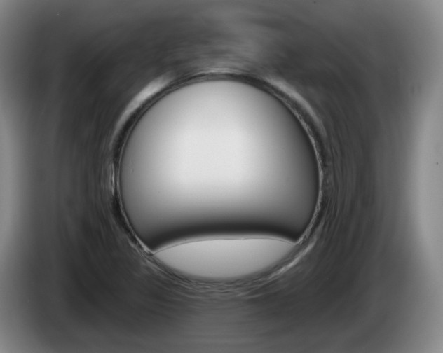 X0000085321317200703091107