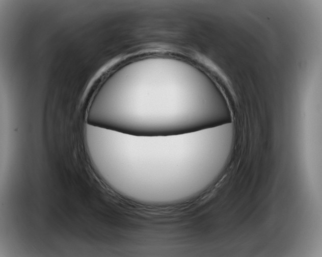 X0000085321318200703091107