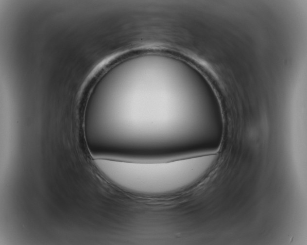 X0000085321319200703091107