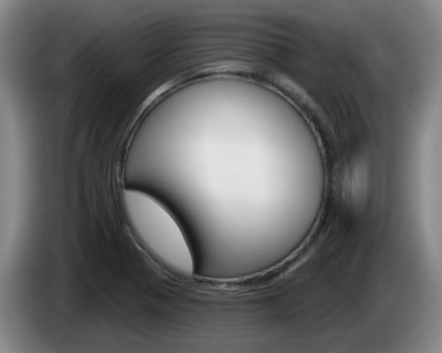 X0000085321321200703091107