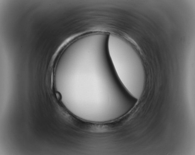 X0000085321323200703091107