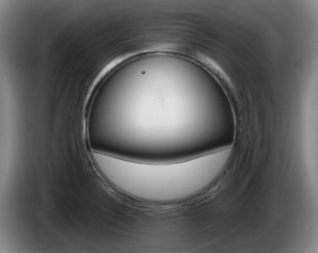 X0000085321324200703091107