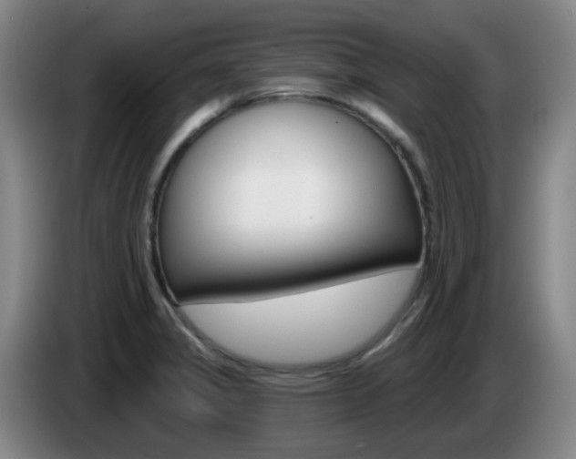 X0000085321325200703091107