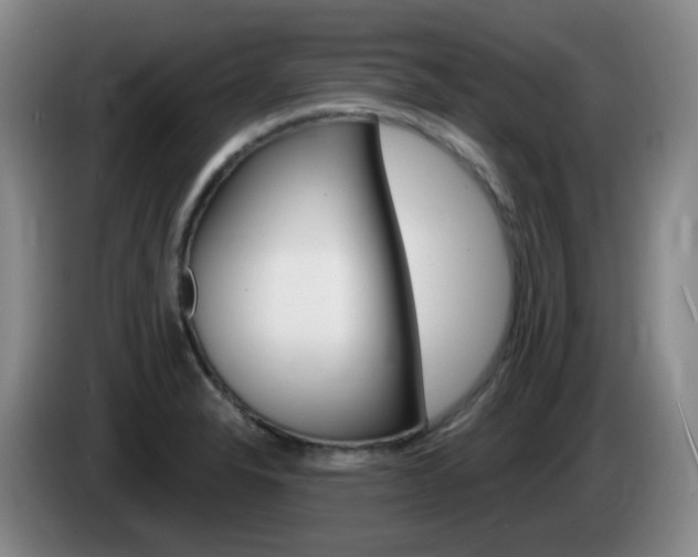 X0000085321326200703091107