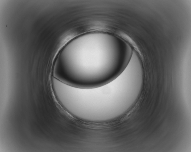 X0000085321330200703091107