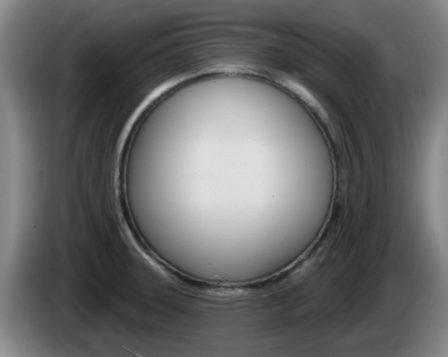 X0000085321331200703091107