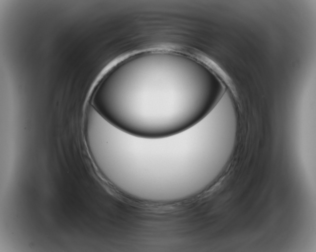 X0000085321332200703091107