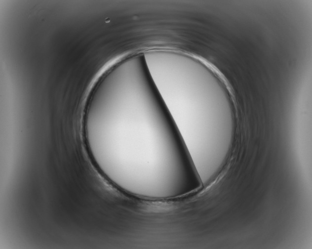 X0000085321333200703091107
