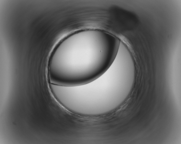 X0000085321334200703091107