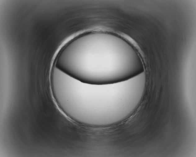 X0000085321335200703091107
