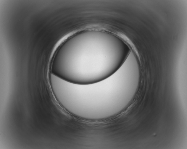 X0000085321336200703091107
