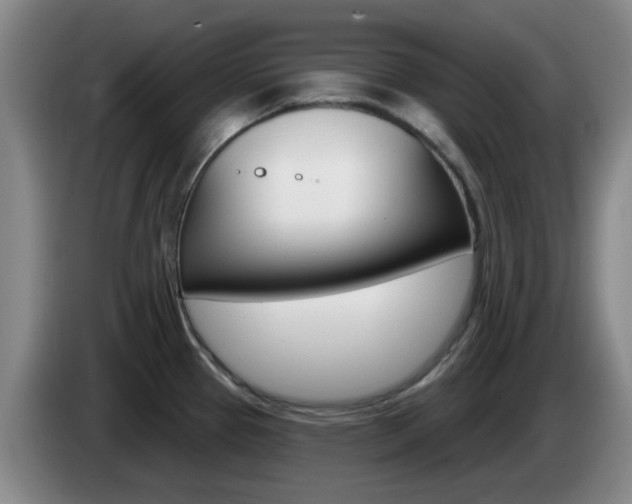 X0000085321337200703091107