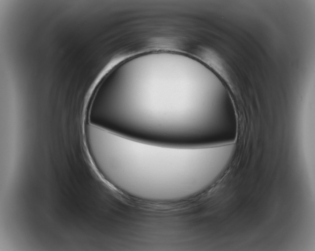 X0000085321339200703091107