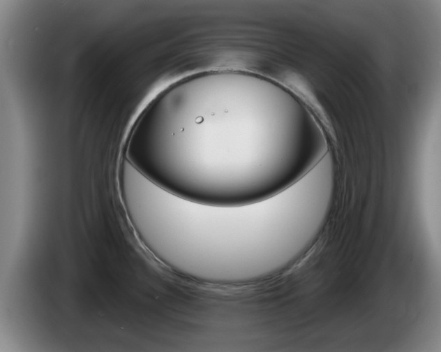 X0000085321340200703091107