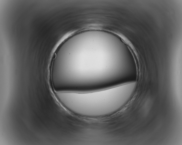 X0000085321341200703091107