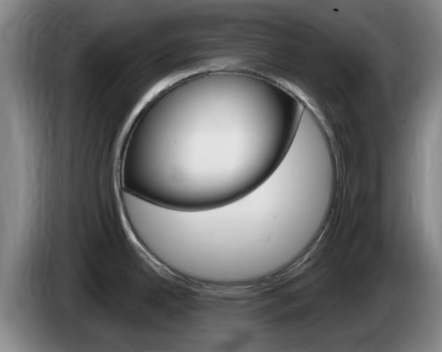 X0000085321342200703091107