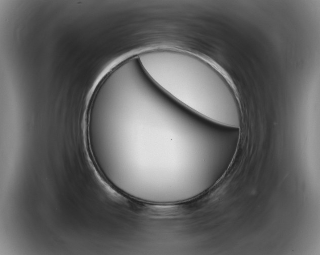 X0000085321343200703091107