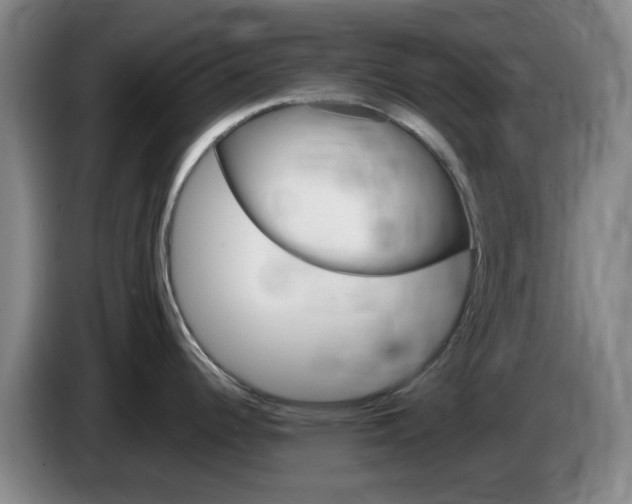 X0000085321344200703091107