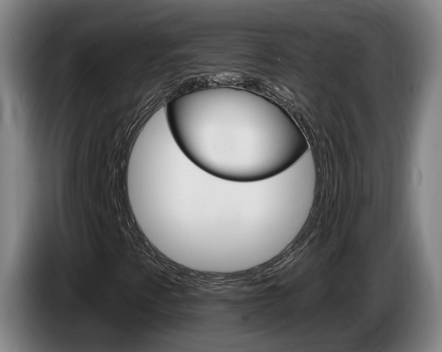 X0000085321345200703091106