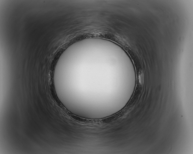X0000085321347200703091106