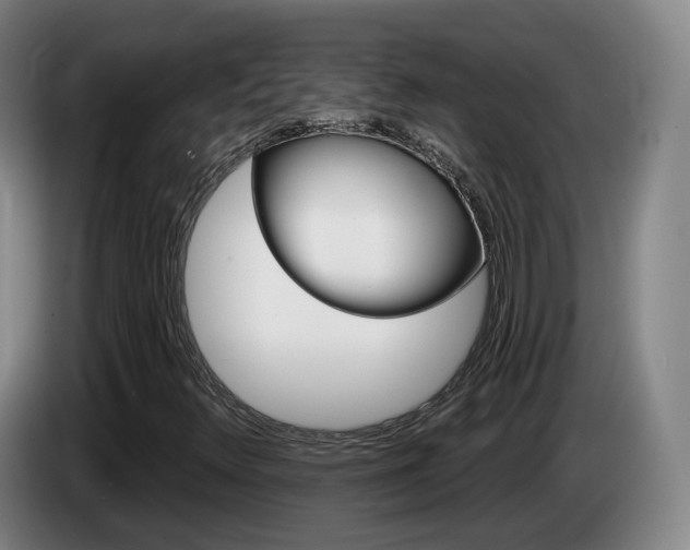 X0000085321348200703091106