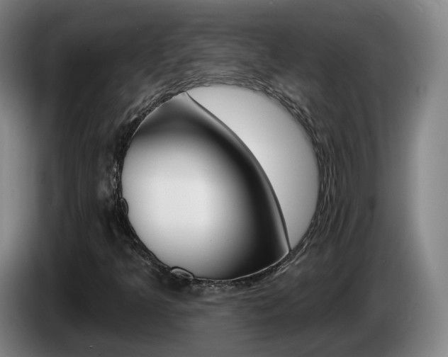 X0000085321349200703091106