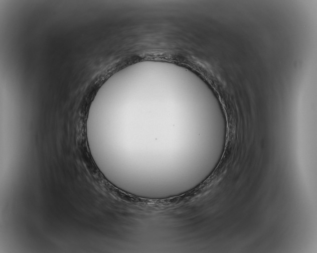 X0000085321350200703091106