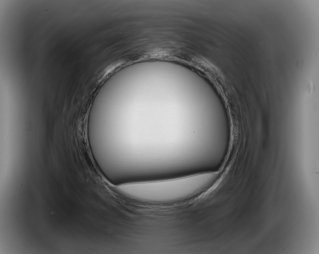 X0000085321353200703091106