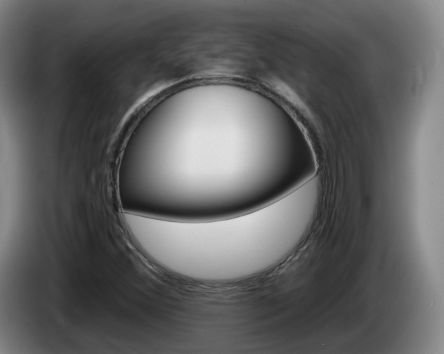 X0000085321356200703091106