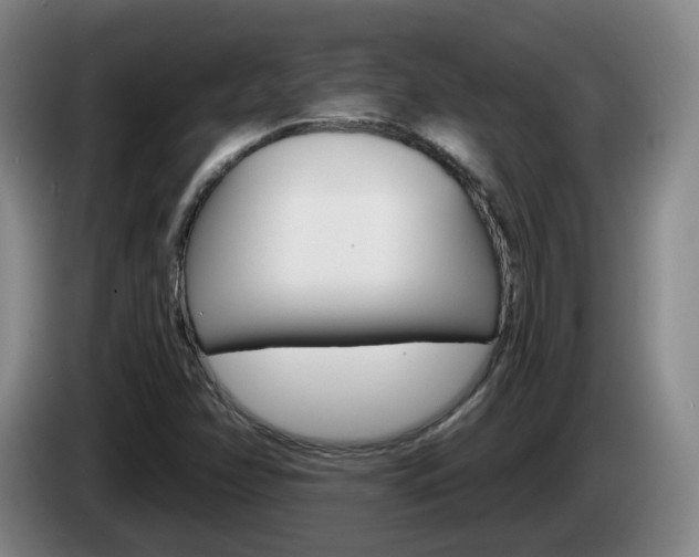 X0000085321358200703091106